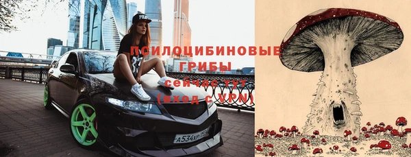 спиды Белоозёрский