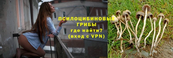 a pvp Беломорск