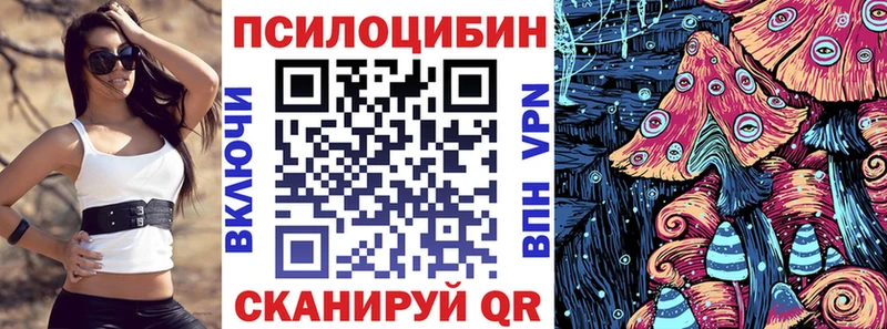 Галлюциногенные грибы Psilocybe  Купить  Семикаракорск 