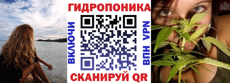 Каннабис VHQ  Купить закладки  Семикаракорск 